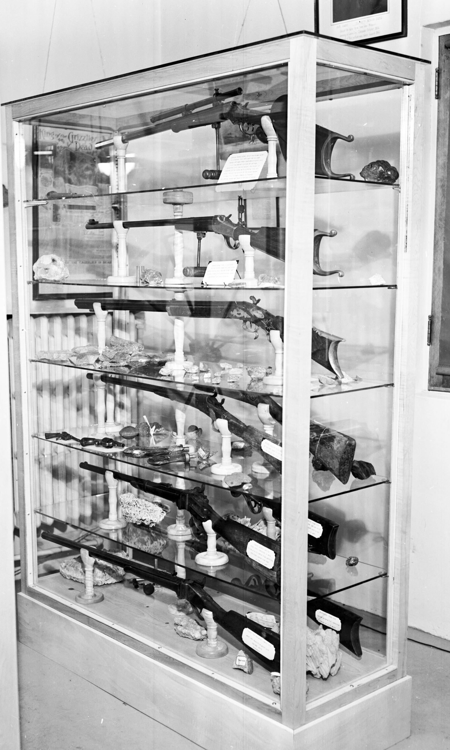 Black and white image of museum gun artifacts on display in a glass case. Photo circa 1920s.