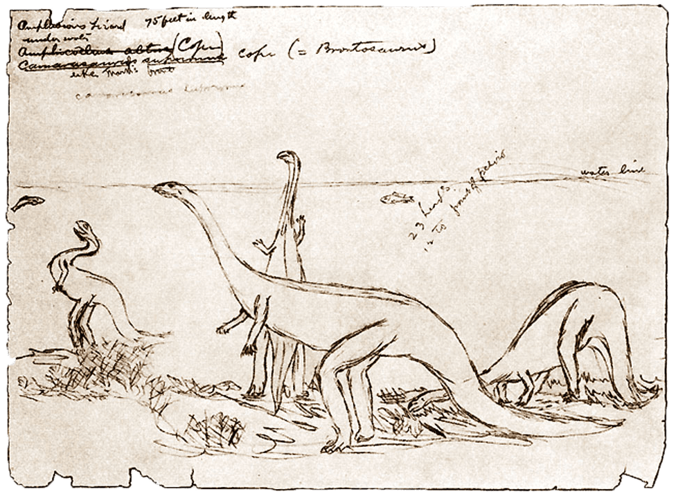 Hand drawn picture of dinosaurs depicted by Mr. Cope.